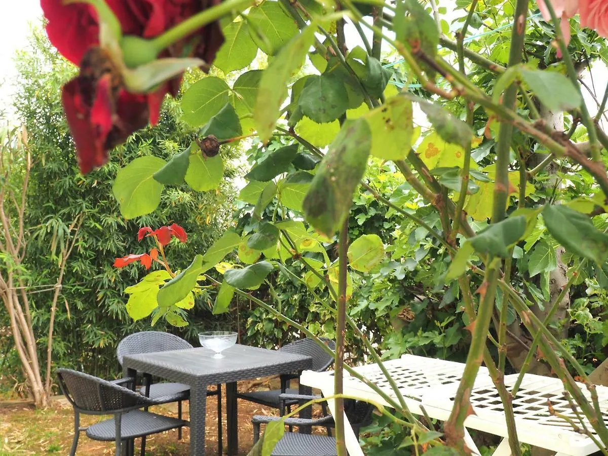 Dea Apartments Pula